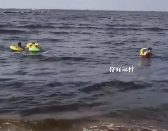 遼寧一海域海水變黑 當(dāng)?shù)鼗貞?yīng)