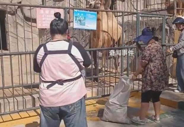 遼寧一動物園斷糧市民自發投喂 園內存糧不多希望得到幫助