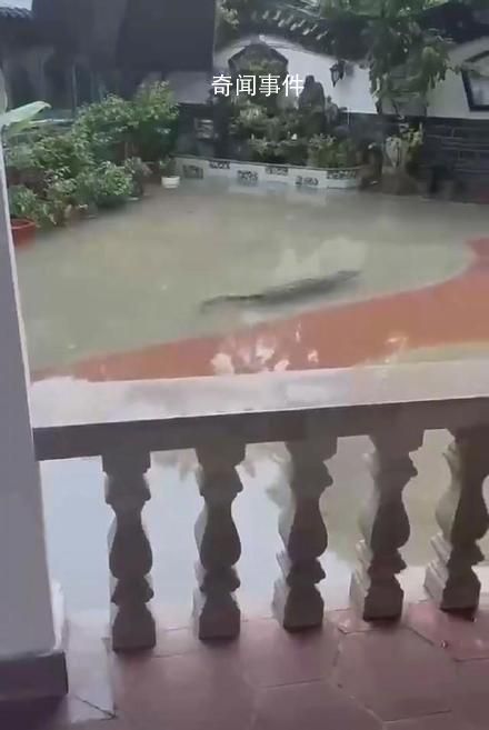 多條廣東暴雨相關傳言被辟謠 注意甄別