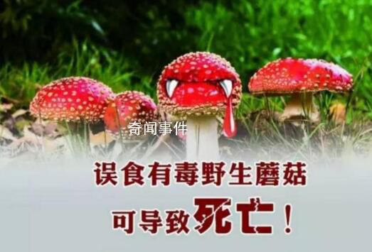 野蘑菇中毒多久有反應 具體發作時間與蘑菇毒性程度有關