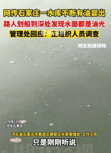 網傳石家莊一水庫不斷有油冒出 正在組織人員進行調查