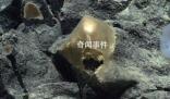 美國科學(xué)家在海底發(fā)現(xiàn)神秘金蛋 疑為未知生物所產(chǎn)
