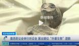外星人?墨西哥國會揭曉非人類化石