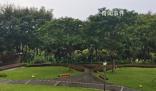 曝深圳一綠道網(wǎng)紅景點(diǎn)建完封閉三年 至今未再面向市民開放