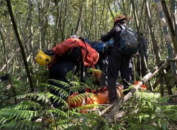 臺(tái)灣一登山團(tuán)遭蜂群攻擊2死9傷 實(shí)在是太可怕了
