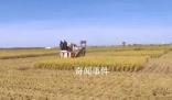 金秋農(nóng)忙好“豐”景 重農(nóng)固本安民之基