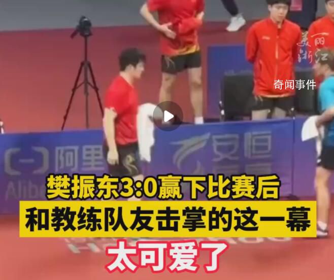 樊振東賽后和教練隊(duì)友擊掌太可愛