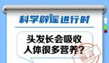 頭發(fā)長會吸收人體很多營養(yǎng)?