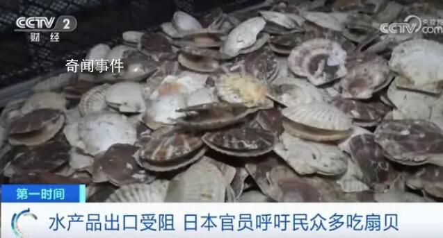 日官員呼吁民眾每人多吃5只扇貝 第一輪排海已經給日本水產品出口帶來巨大負面影響
