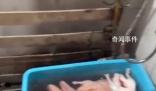 烤鴨店回應在廁所浸泡鴨子 空間有限偶爾放一下