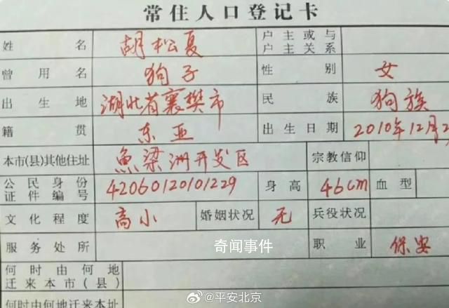 警方談“把狗寫戶口本上”:或擔(dān)責(zé)