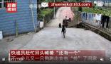 主人不在家快遞顯示狗已簽收 網友爆笑：比人還精