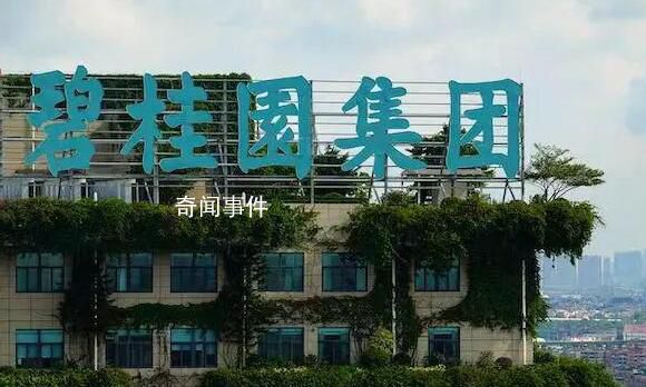 碧桂園創(chuàng)始人賣私人飛機償債 目前公司9只境內(nèi)債已成功展期