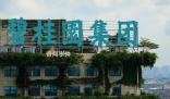 碧桂園創(chuàng)始人賣私人飛機償債 目前公司9只境內債已成功展期