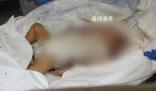 以色列公布嬰兒遇害可怕照片 戰火中的兒童成為輿論焦點