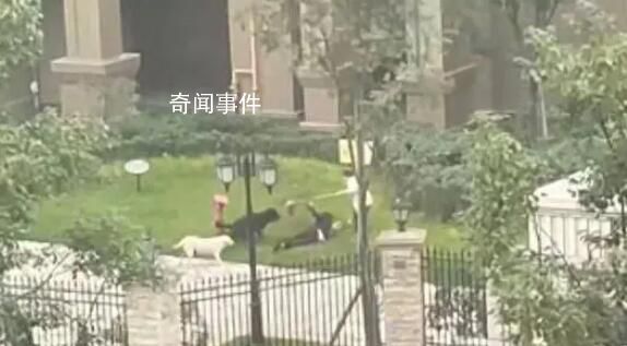 物業回應保潔阿姨為女童擋狗 一保潔阿姨毫不畏懼及時出手阻攔