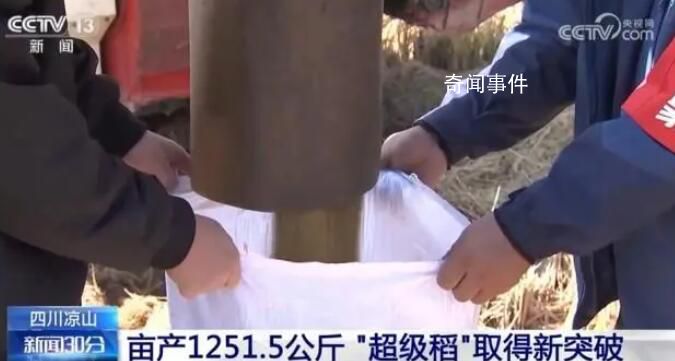 五谷豐登糧滿倉(cāng) 全國(guó)多地秋種忙