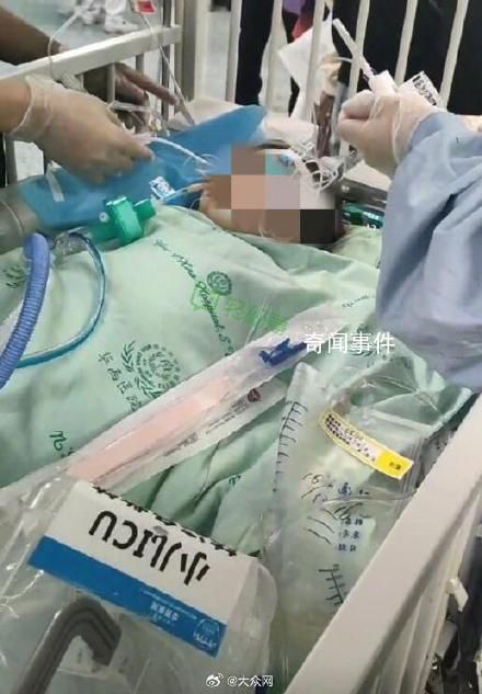 被狗咬傷女童已籌齊200萬捐款