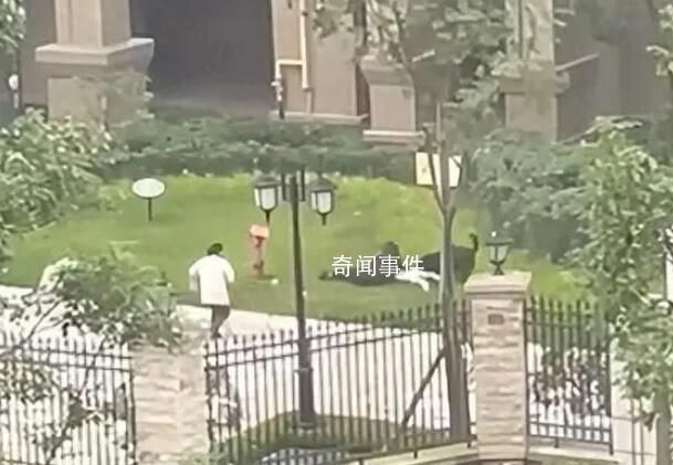 寵物協(xié)會人士:建議養(yǎng)犬前先考試