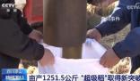五谷豐登糧滿倉(cāng) 全國(guó)多地秋種忙