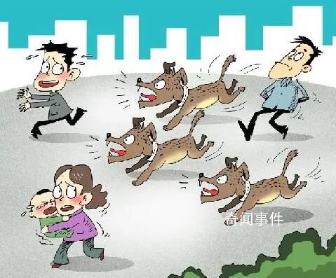 這些養犬法律底線要清楚 希望大家依法養犬