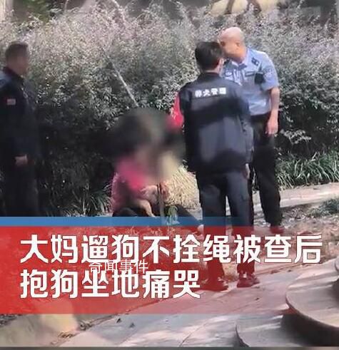 老人遛狗不牽繩被查抱狗痛哭 不愿意配合