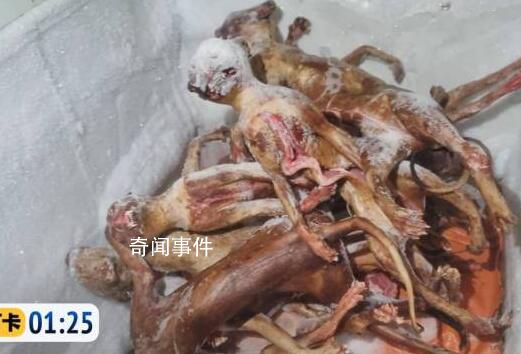 貓肉按每斤4塊5充當(dāng)豬羊肉 中間的差值全是利潤