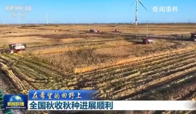 全國(guó)秋收進(jìn)度近八成 吉林省大安市72萬畝水稻收獲進(jìn)入高峰