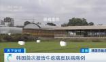 韓國確診多例牛疙瘩皮膚病病例 引發了韓國社會的高度關注