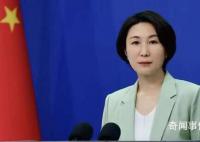 29名聯合國員工巴以沖突中喪生 外交部回應