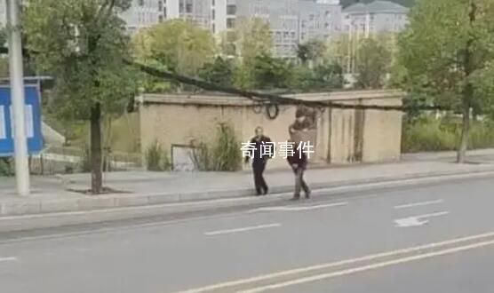 兩兒子用背簍背暈車母親去醫(yī)院 這位老母親坐的才是最豪華的車