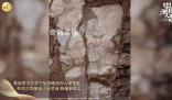 陜西發(fā)現(xiàn)元稹第二任妻子裴淑墓 二人的愛情故事也廣為流傳