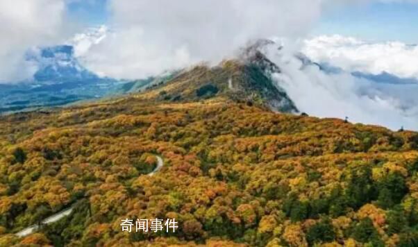 峨眉山招聘猴群管理員 用工性質(zhì)為合同聘用