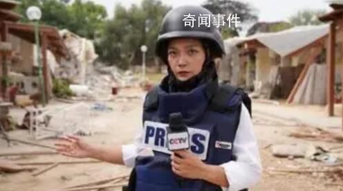 爸媽看電視才知女兒是戰地記者 陳慧慧個人資料簡介