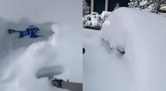 黑龍江暴雪后找車全靠挖 網(wǎng)友：東北雪天找車好像開盲盒