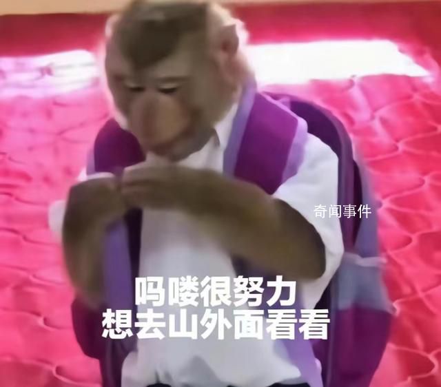 “嗎嘍”占領(lǐng)了年輕人的生活圈