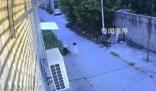 女童遭未滿12周歲男孩殺害?警方回應