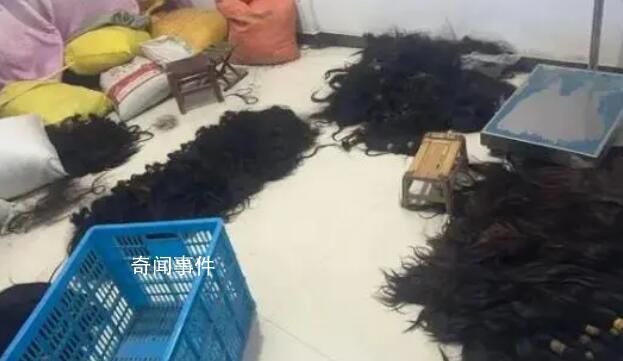 價值70萬頭發(fā)被盜民警48小時追回