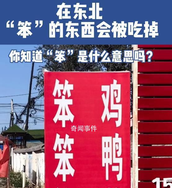 在東北 一切笨的東西都會被吃掉