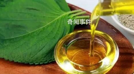 調和油不如動物油?這些誤區(qū)你中了幾個
