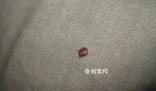 多國爆發(fā)床虱危機(jī) 已蔓延至亞洲