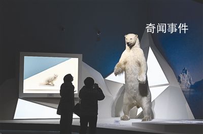 共同家園 展覽在北京中國(guó)國(guó)家博物館正式開展