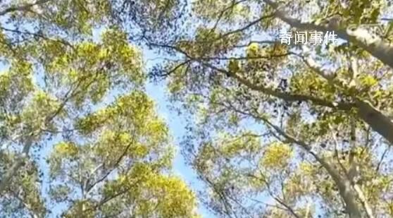多彩旅游模式拉動新消費(fèi) 好風(fēng)景拉動新消費(fèi)