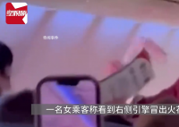 泰國客機(jī)高空噴火 空姐為乘客扇風(fēng)
