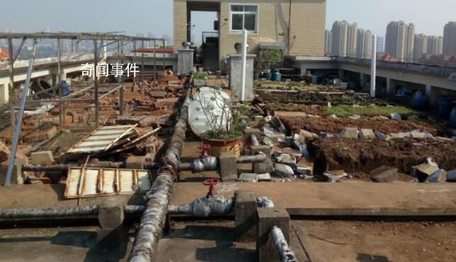 長(zhǎng)沙老人把小區(qū)樓頂“開(kāi)墾”成菜園