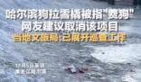 哈爾濱回應網友建議取消狗拉爬犁 引起許多網友關注