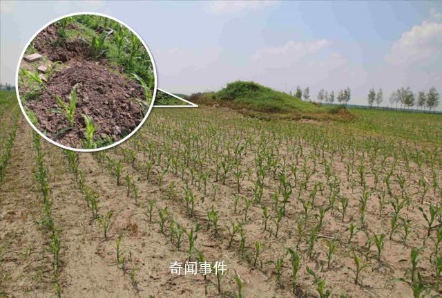 2男子自學“盜墓技能”挖10座古墓