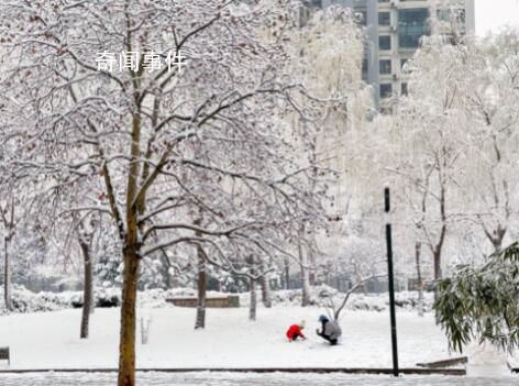積雪可達15厘米 暴雪寒潮已近在眼前