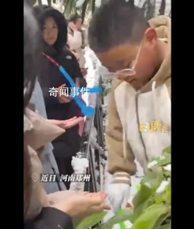 小孩哥夾雪熊哄大學(xué)生忙成流水線 忙的不可開(kāi)交