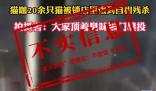 貓咖20只貓餓到互相殘殺?店主回應(yīng)